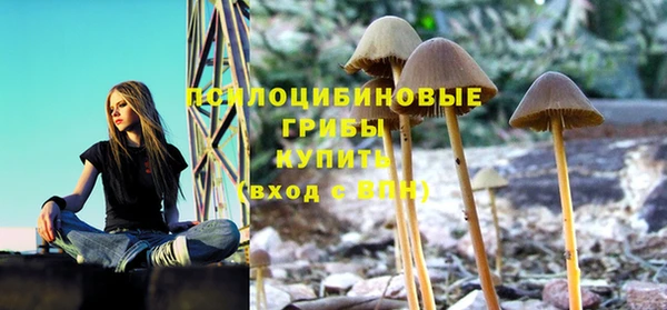 амфетамин Богородицк